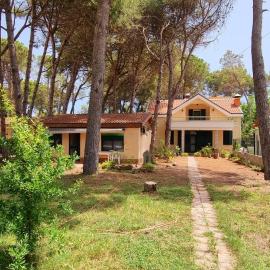 bezhani Standard Villa, hotell sihtkohas Golem