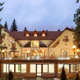 Vila Pinul si Mesteacanul