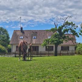 La maison de Jean