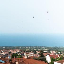 Olympian Panorama