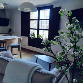 Apartamento Palacio de los Burgo, hotel in Pastrana