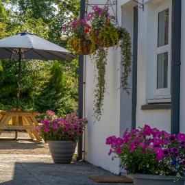 White Mill, Hotel in Narberth