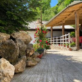 Guest House BOZVILL