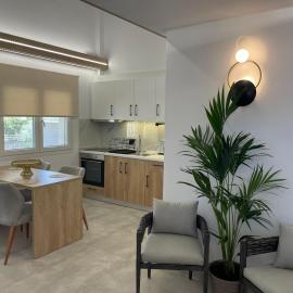 The Frog Apartment, Hotel in Limenaria