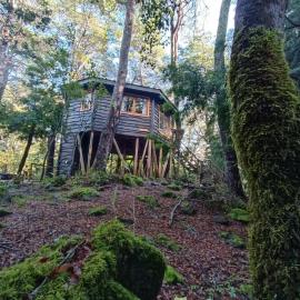 Cabañita del Árbol Cóndor, Hotel in Las Trancas