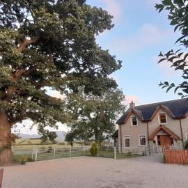 Oaktree Manor - BBQ, games rooms and pet friendly, hotel in Castlewellan