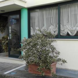 Alma Hotel San Giorgio, hotel em San Giorgio Lucano