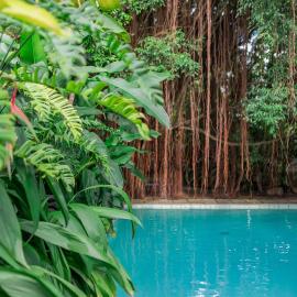 The Fern Cove Villa - Colombo – hotel w mieście Battaramulla