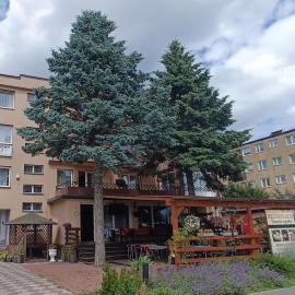 DW Jantar, hotel v destinácii Władysławowo