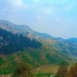 The Pine Of Golden Home Stay، فندق في موسوري