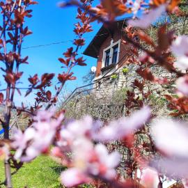 Weinberghaus - Wohnen im Weinberg in der Toskana des Nordens, hotel in Freyburg