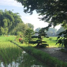 Lotus 2 Guest House, Hotel in Borobudur