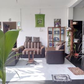 House Of Esanya