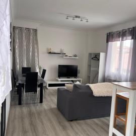 Appartement T3 de 54 m2 Saint Esprit Bayonne, hotel in Bayonne