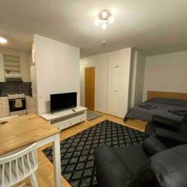 Saunallinen yksiö keskustassa – hotel w mieście Pieksamaki