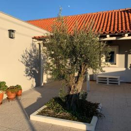 Casa do Avô Ezequiel, hotel in Vendas Novas