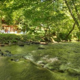 Cozy Creekside Cabin