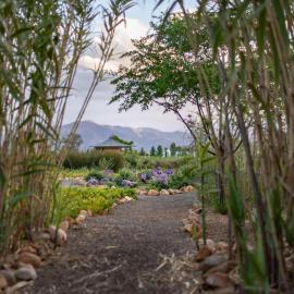 Galloway Guest House, hotel in Robertson
