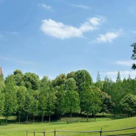Crowne Plaza Chengdu Panda Garden by IHG