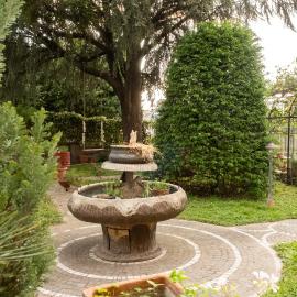 Il Pino Argentato
