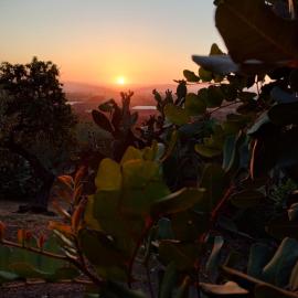 Ronnavona Casa Vacanze B&B, Hotel in Chiaramonte Gulfi