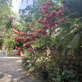 Hillcrest Sanctuary