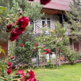 Podsolnukhi Guest House, hotel in Cholpon-Ata