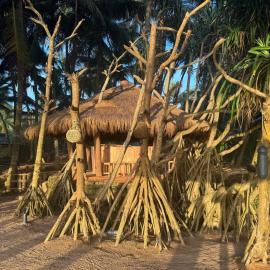 Coconut Beach, hotell i Bentota