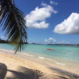 Bel appartement sur la route côtière à 50 m d une très belle plage
