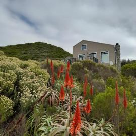 Peaceful Seaside Cottage, Betty's Bay Accommodation, hotel in Clareport