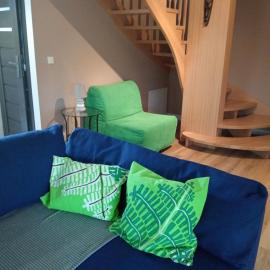 Apartamenty Dzika Orlica, hotel in Zieleniec