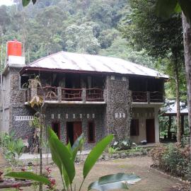 Rinte Green Village & Bukit Lawang Jungle Trekking, hotel in Bukit Lawang