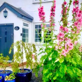 18th Century Cosy Cottage with Stunning Views