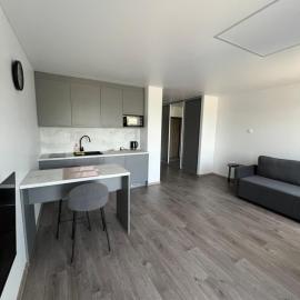 Spacious, cozy place in Vilnius