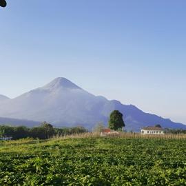 Avila Ketapan Rame Hotel, hotel di Trawas
