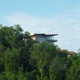 Nel Bosco