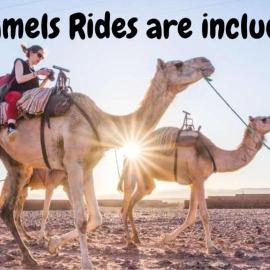 Desert Camp in Zagora - Camel ride - Easy & Affordable Stays, hotel in Zagora