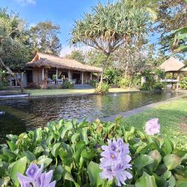 Bali Beach Eco Villas Pondok Matekap, готель у місті Selemadeg
