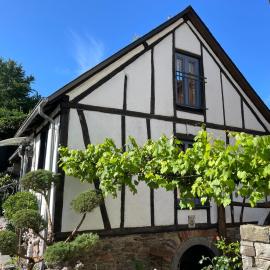 Ferienhaus Romantica in Bruttig-Fankel für 2 Personen