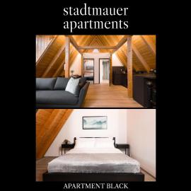 stadtmauer apartments - Großzügige luxuriöse Wohnung an der Stadtmauer - ideal für Familien, hotel a Nördlingen