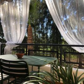 Cigüeñas