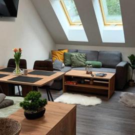Apartmány Rak Lipno, hotel in Černá v Pošumaví