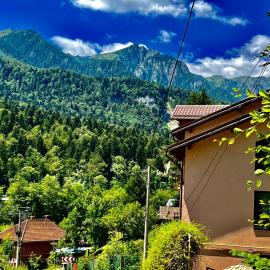 Pensiunea Roua - Mountain View
