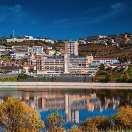 Hotel Regua Douro, מלון בפסו דה רגואה