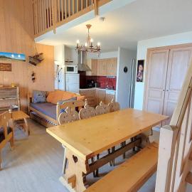 Duplex 8/9 pers avec terrasse Sud, proche pistes, Wi-Fi, animaux OK, parking + options - FR-1-393-92, hotel in Saint-Michel-de-Chaillol
