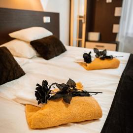 Oázis Panzió, hotel in Makó
