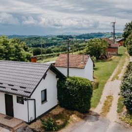 Dama s kamelijama