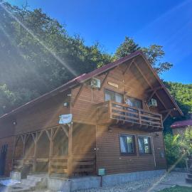 Casa Favorit, hotel din Costeşti
