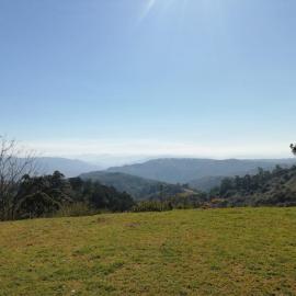 Orchid on Main - Valley of 1000 hills、Drummondのホテル