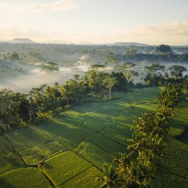 Ubud Mas Glamping Luxury Tent, хотел в Убуд